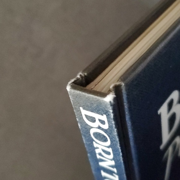 Born to be King book Prince William of Wales about 127 pages - Picture 13 of 17